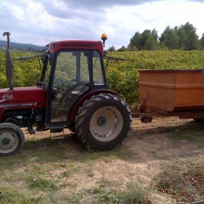 Apprendre le français et le vin français dans le Languedoc