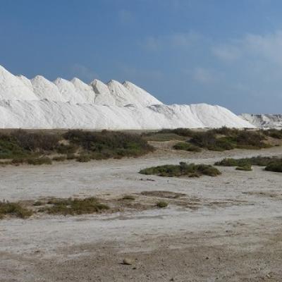 Aprende francés y descubre la cosecha de sal en Gruissan