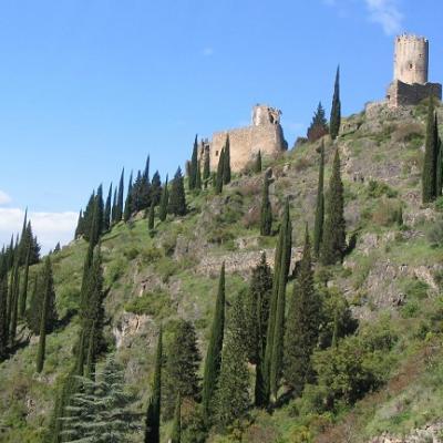 Excursión de inmersión en francés en el área de Carcasona