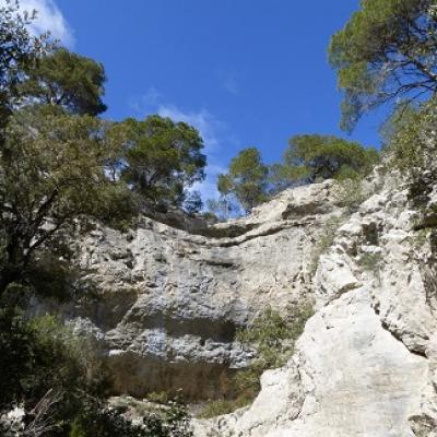 A French immersion in the natural Mediterranean environment